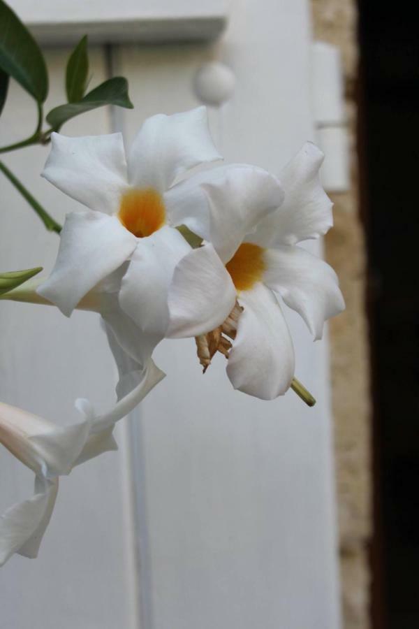 Au Garcin Bed & Breakfast La Romieu ภายนอก รูปภาพ